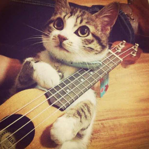 国产剧情麻豆mv
